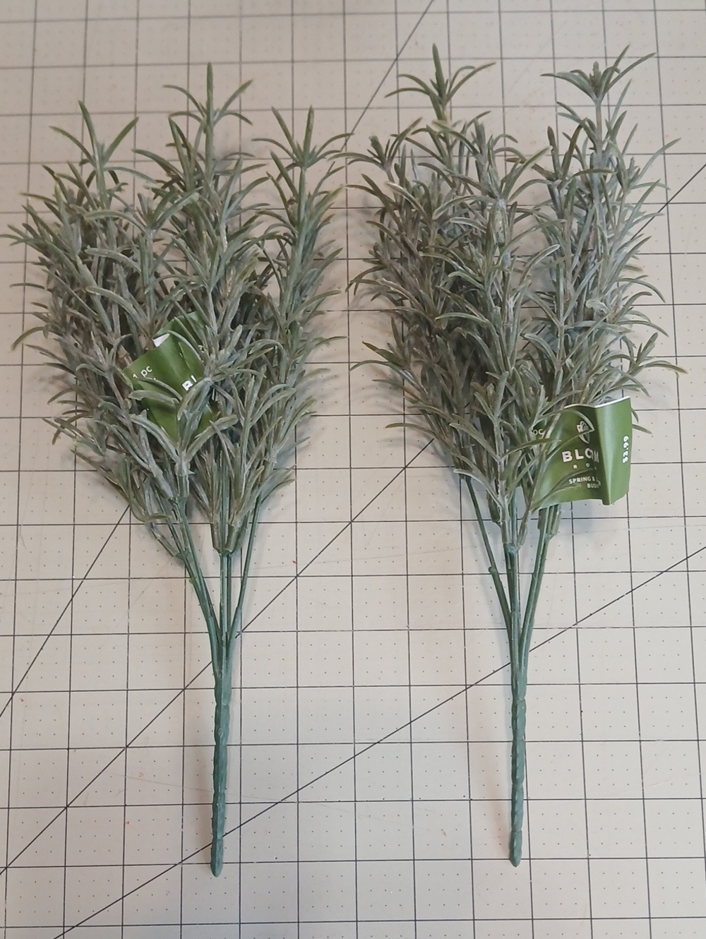 Eucalyptus Bush - Set Of 2